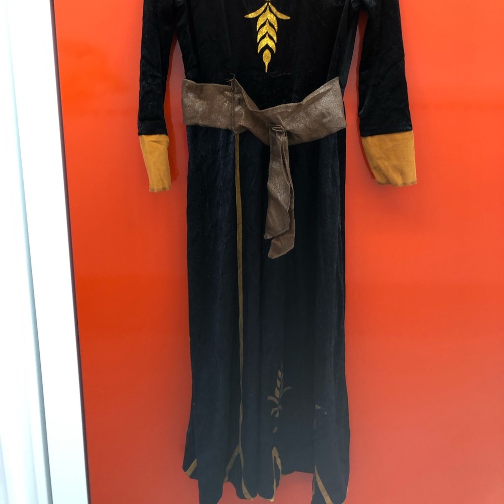 Frozen 2 Anna Women’s Costume Size Small - Picture 3 of 15